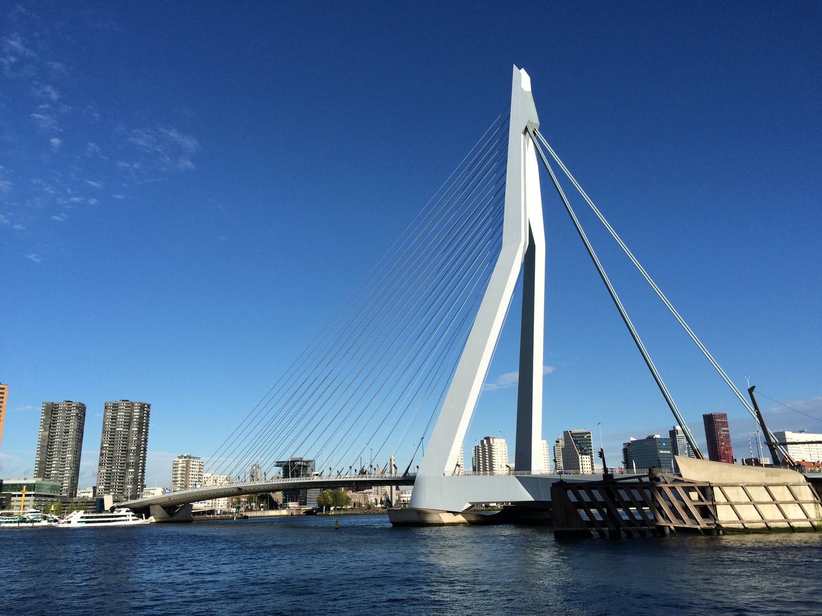 erasmusbrug-rotterdam